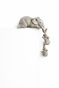 The Hanging Story